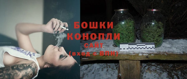 гидра Баксан