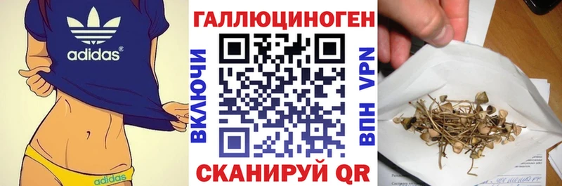 Галлюциногенные грибы прущие грибы Борисоглебск