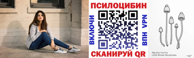 закладка  Борисоглебск  Галлюциногенные грибы Cubensis 